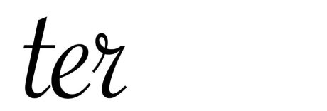 Portuguese verb TER