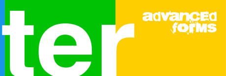 portuguese verb TER
