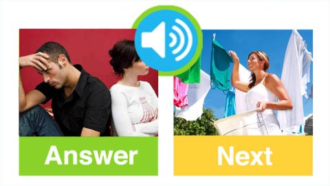 Quizzes